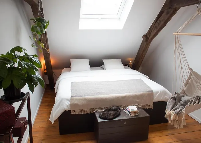 Pakhuis 別荘 ヘント